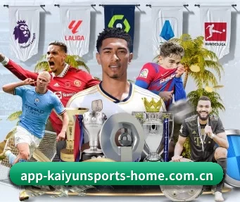 开云体育平台app下载官方 APP
