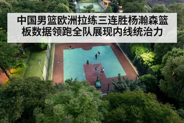 chinese basketball team