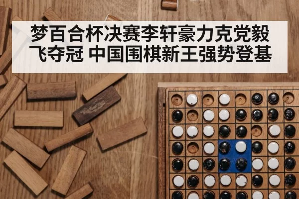 梦百合杯决赛李轩豪力克党毅飞夺冠 中国围棋新王强势登基